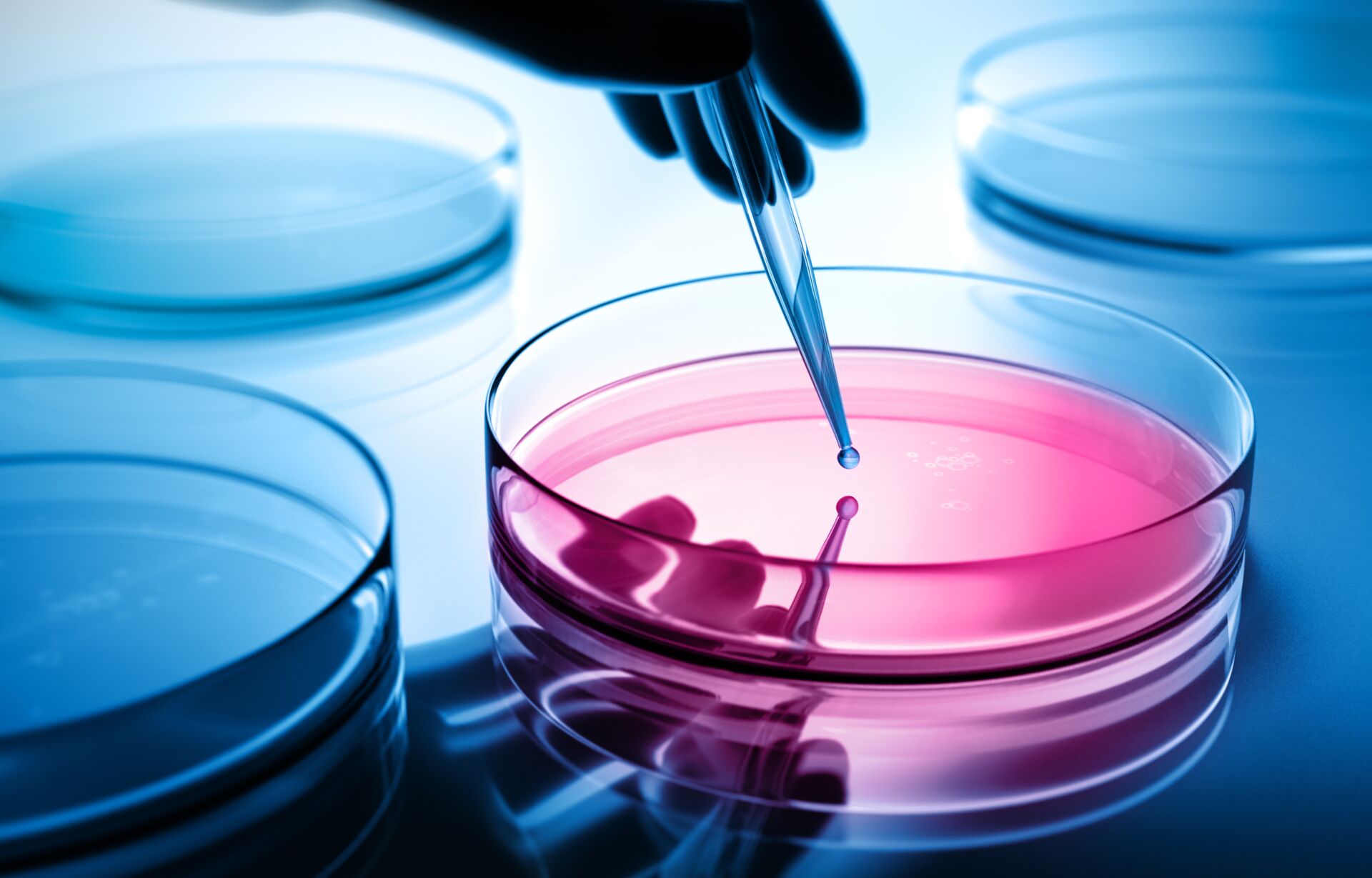 Zellkultur/Mikrobiologie